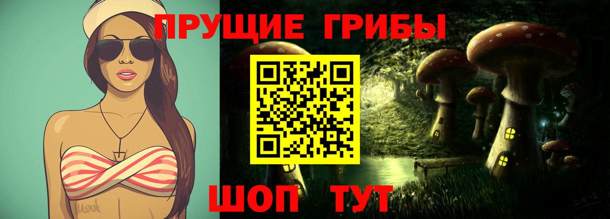 Псилоцибиновые грибы мицелий  Вход с VPN  Химки 